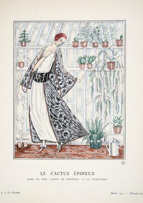 Le Cactus Épineaux