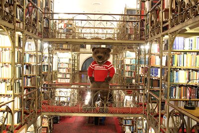 Big Red Bear visits AD White